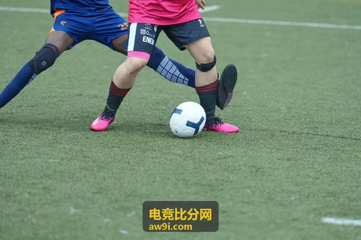 多维度数据对比